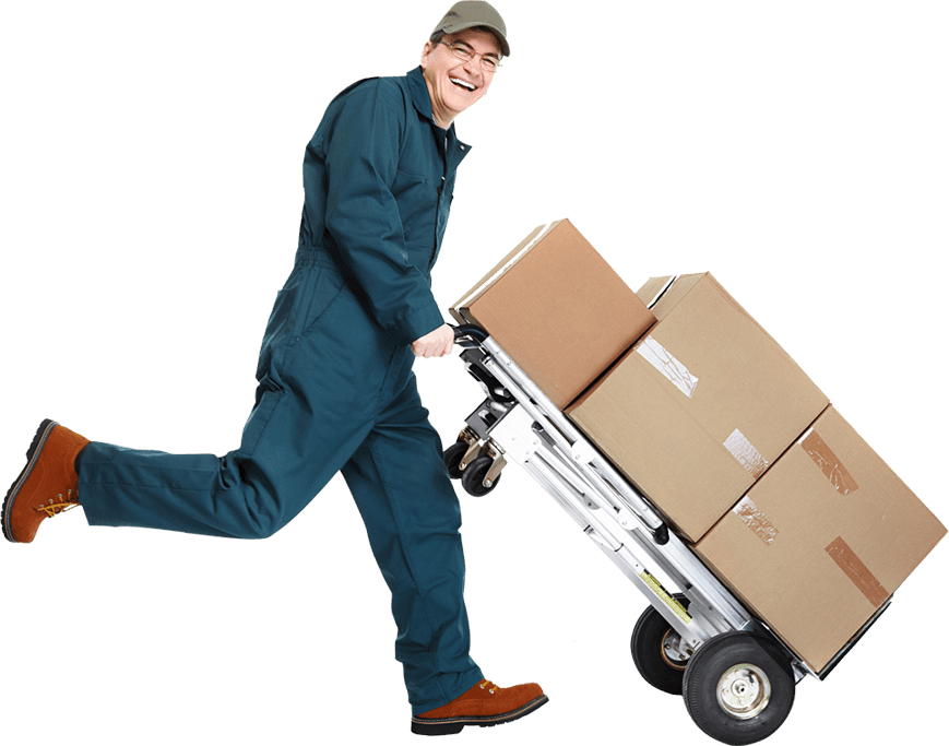 removal services